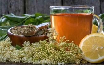 Jak se zbavit parazitů v těle s lidovými léky