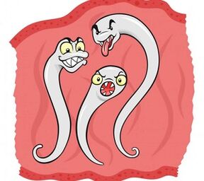 jací paraziti mohou žít v lidském těle