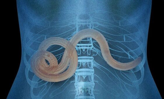 parazita v lidském těle